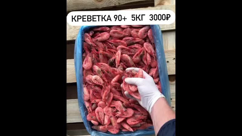 Баренцев креветка. Холодноводная креветка. Баренцев креветка. Креветка северная. Креветка северная дикая.