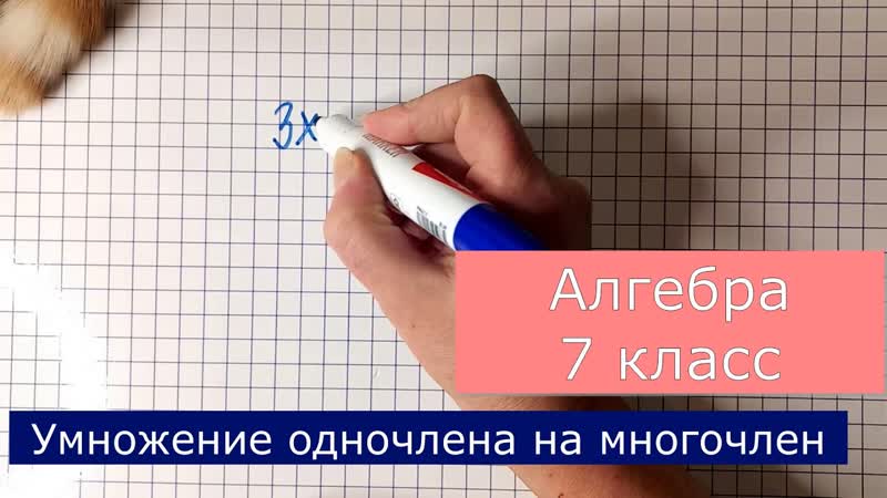 Умножение одночлена на многочлен. Алгебра 7 класс.