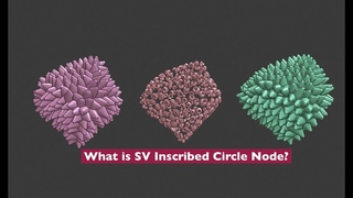 LIVENODING X Inscribed Circle First Look