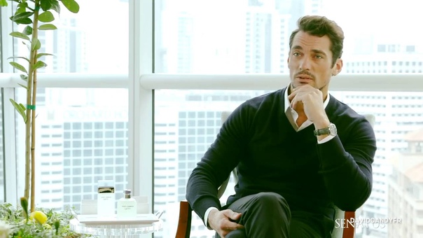 David Gandy talks with Senatus (31, 12,