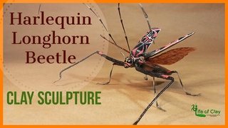 Sculpting Harlequin Longhorn Beetle (Acrocinus longimanus)_Polymer Clay_Life of Clay
