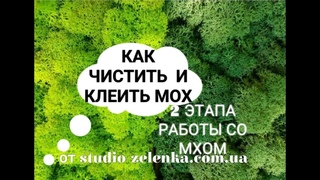 Как клеить мох своими руками. 2 этапа работы со стабилизированным мхом(ZelenkaShow22)