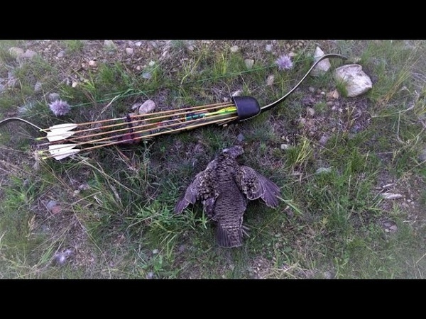 2021 EP1 Grouse Hunting with the Recurve Bow. HUGE BLUE