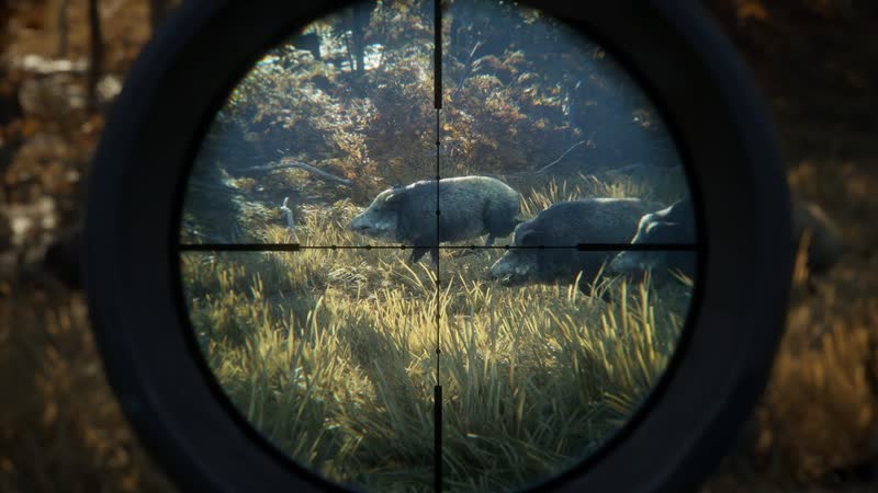 СИМУЛЯТОР ОХОТНИКА В ДИКОЙ ПРИРОДЕ THE HUNTER CALL OF THE