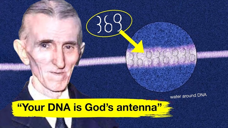 OMG This is the proof that God exists within
