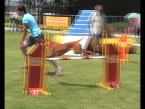 agility seizoen