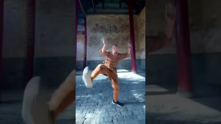 Shaolin Temple Monks Kung FuPerformance  #shaolin #wingchun #kungfu #wushu# # # #
