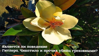 Является ли поведение таких персон, как Гитлер, Чикатило и прочих убийц, греховным?