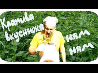 дополнительные крапива прикольные картинки рассеиватель