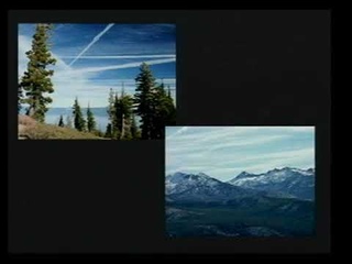 From Chemtrails to Pseudo Life -1