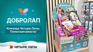 Команда Четыре Лапы. Помогаем вместе!