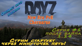 DayZ вайп   Проект New Era серия #1