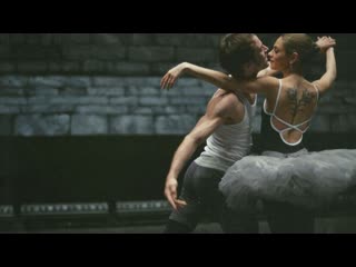 Чёрный лебедь (2010)