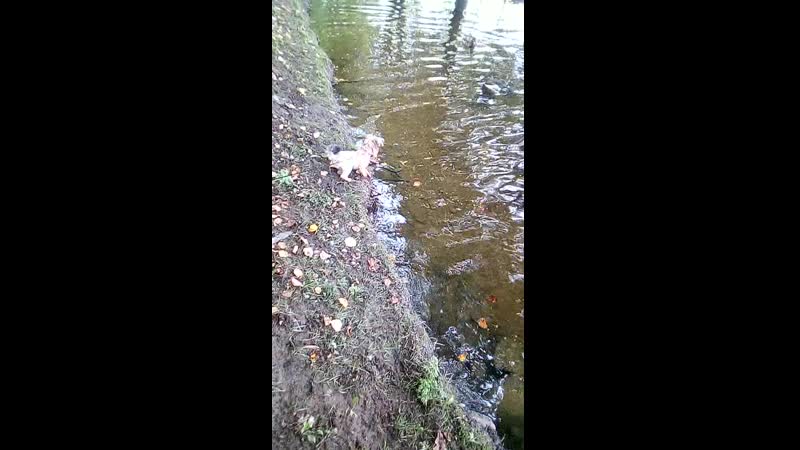 Видео от Lily