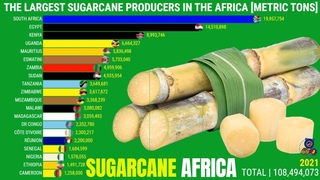 THE LARGEST SUGARCANE PRODUCERS IN THE AFRICA