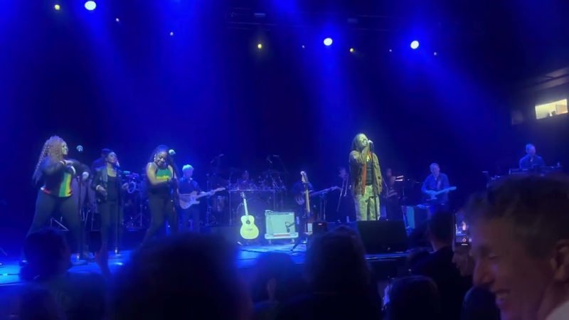Ziggy Marley 7, 17, 24 Positive