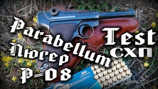 Пистолет Luger Parabellum  - Тест Стрельба
