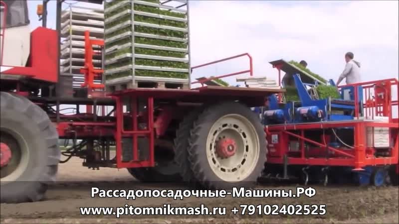 Рассадопосадочная машина автоматическая FERRARI FUTURA