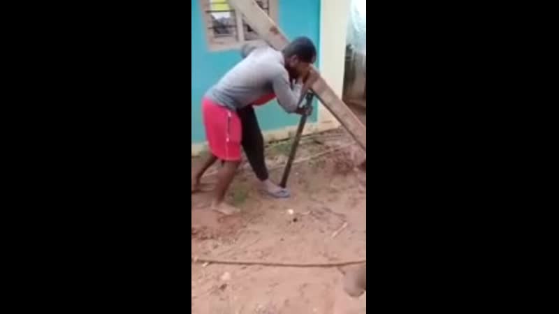 ниф ниф и наф