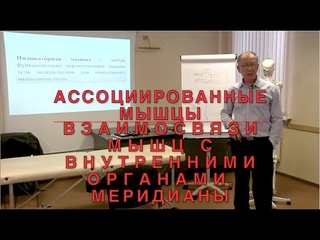 АССОЦИИРОВАННЫЕ МЫШЦЫ//ВЗАИМОСВЯЗИ МЫШЦ И ВНУТРЕННИХ ОРГАНОВ//МЕРИДИАНЫ//ИКПК