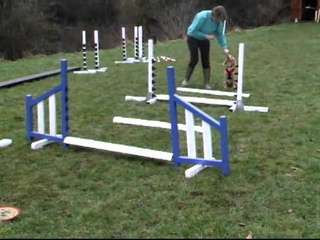Puppy Foundation Agility - 6 months old