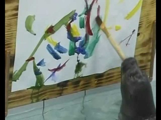 Иркутский Нерпинарий