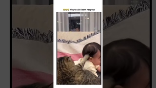 Kittyo making sure that the message is delivered and lays down respect