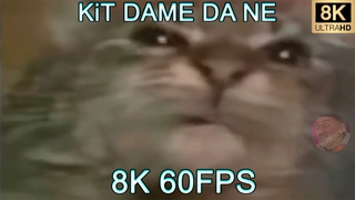 KiТ DAME DA NE 8K 60 FPS (УЛУЧШЕННЫЙ МЕМ)