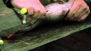 Morakniv Fishing Comfort Fillet 155 (S)