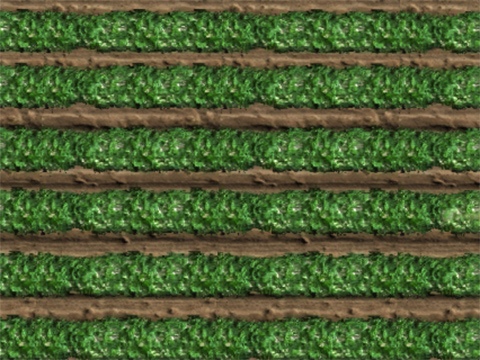 Field spline 7