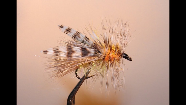 HOPPER STIMULATOR 1
