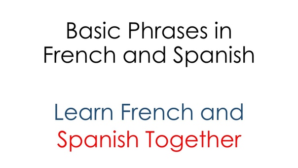 Basic Phrases in French and