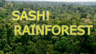 SASH! - Rainforest