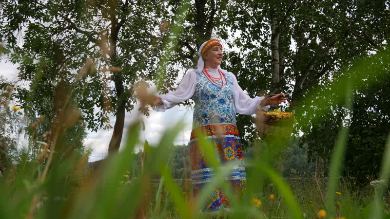 Наталья Антонова Ой, грибы,