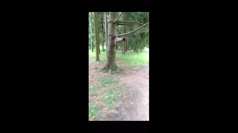 Видео от Regina