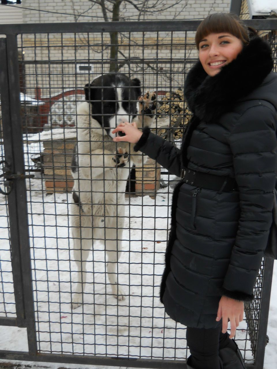 Мария Петрикова | 