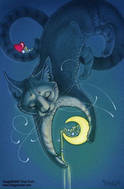 №25, Юля Тесля, Киев №25, Юля Тесля, Киев