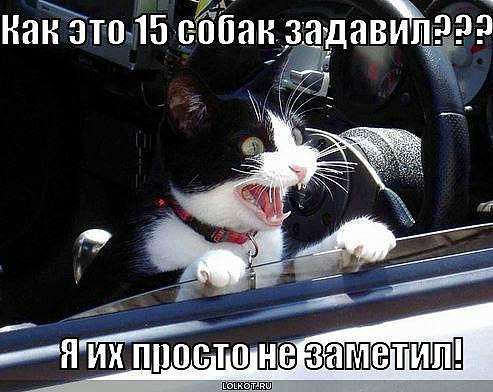 Елена Колесникова | Ступино (деревня)