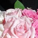 №148, Елена Глызь-Ницецкая, 48 лет, Одесса №148, Елена Глызь-Ницецкая, 48 лет, Одесса