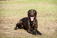 №18 Vitaly Smirnov 16.11.1982: профиль, фото, статус - ВКонтакте