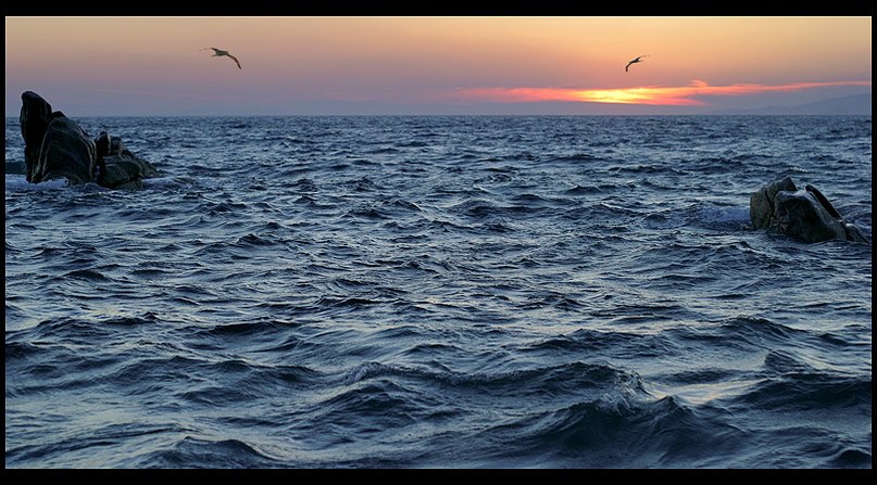 Алёна Кот | Санкт-Петербург