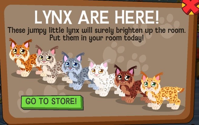 Марго Вайс | Санкт-Петербург