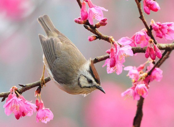 Виталиночка Мусейчук | Киев