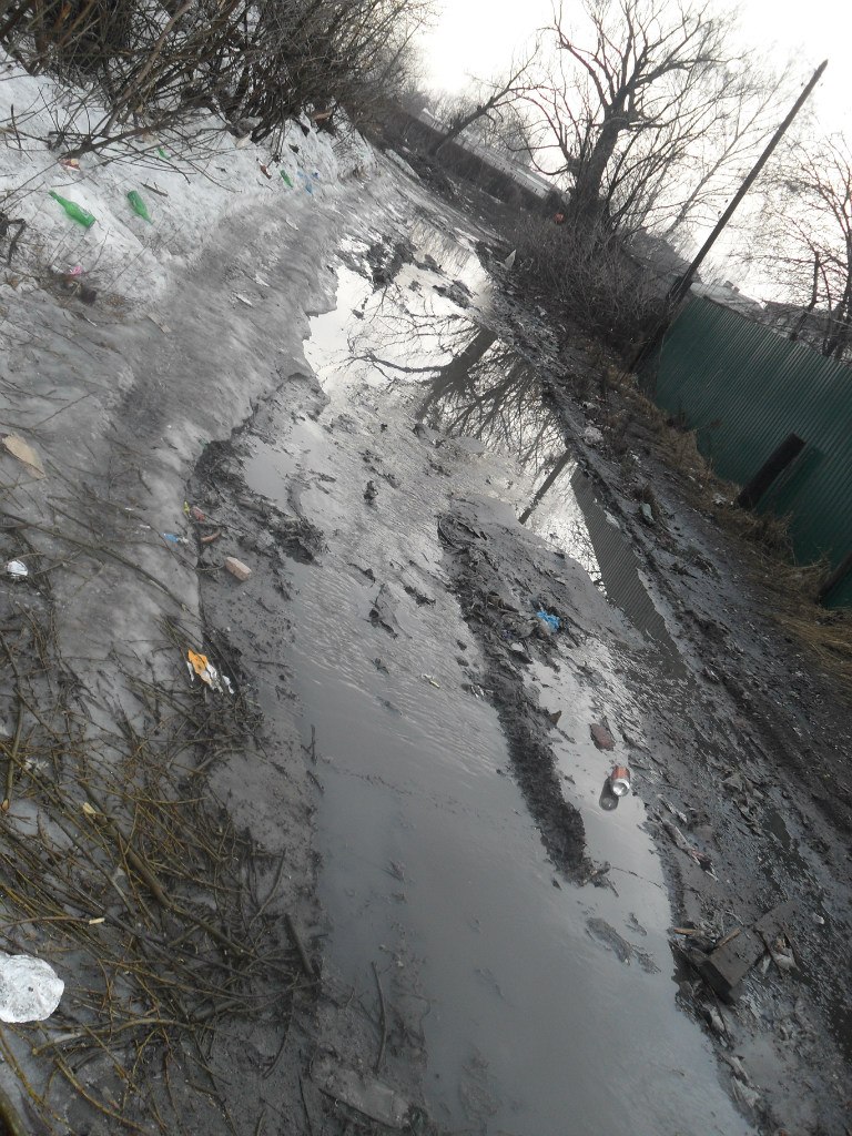 Милена Краснова | Пенза