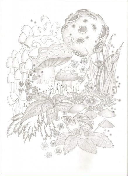 №29, Nina Mikhaylova №29, Nina Mikhaylova