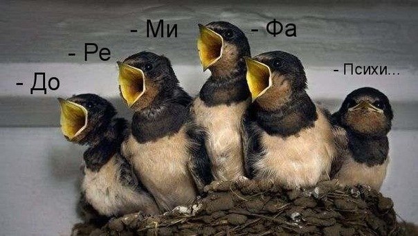 №29, Влад Шейко, 46 лет, Днепр (Днепропетровск) №29, Влад Шейко, 46 лет, Днепр (Днепропетровск)