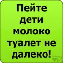 Фотография Камилла Нутфуллина