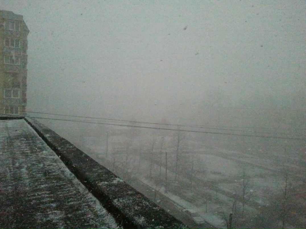 Андрей Авдеев Кекс | Санкт-Петербург