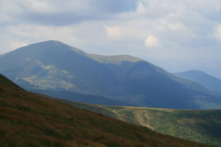 №31, Віталій Король №31, Віталій Король