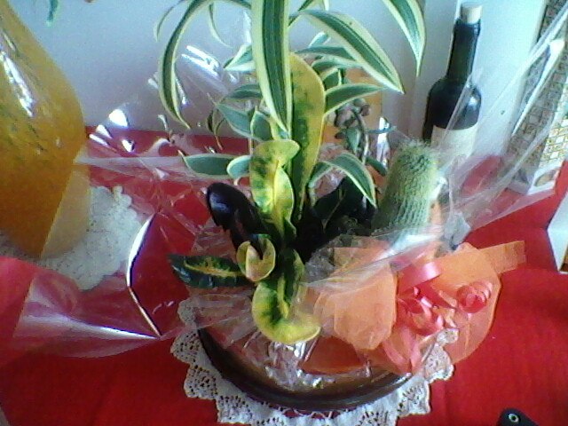 Галина Артюшкина | Pescara